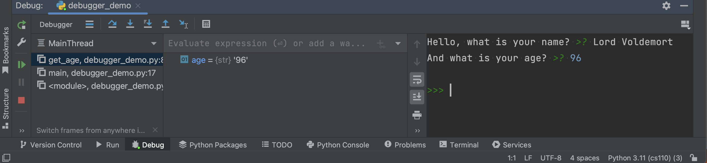 Pycharm age variable has what you typed